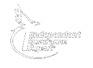 Independent Insurance Agent